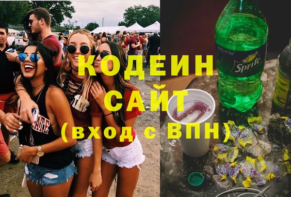 стаф Верея